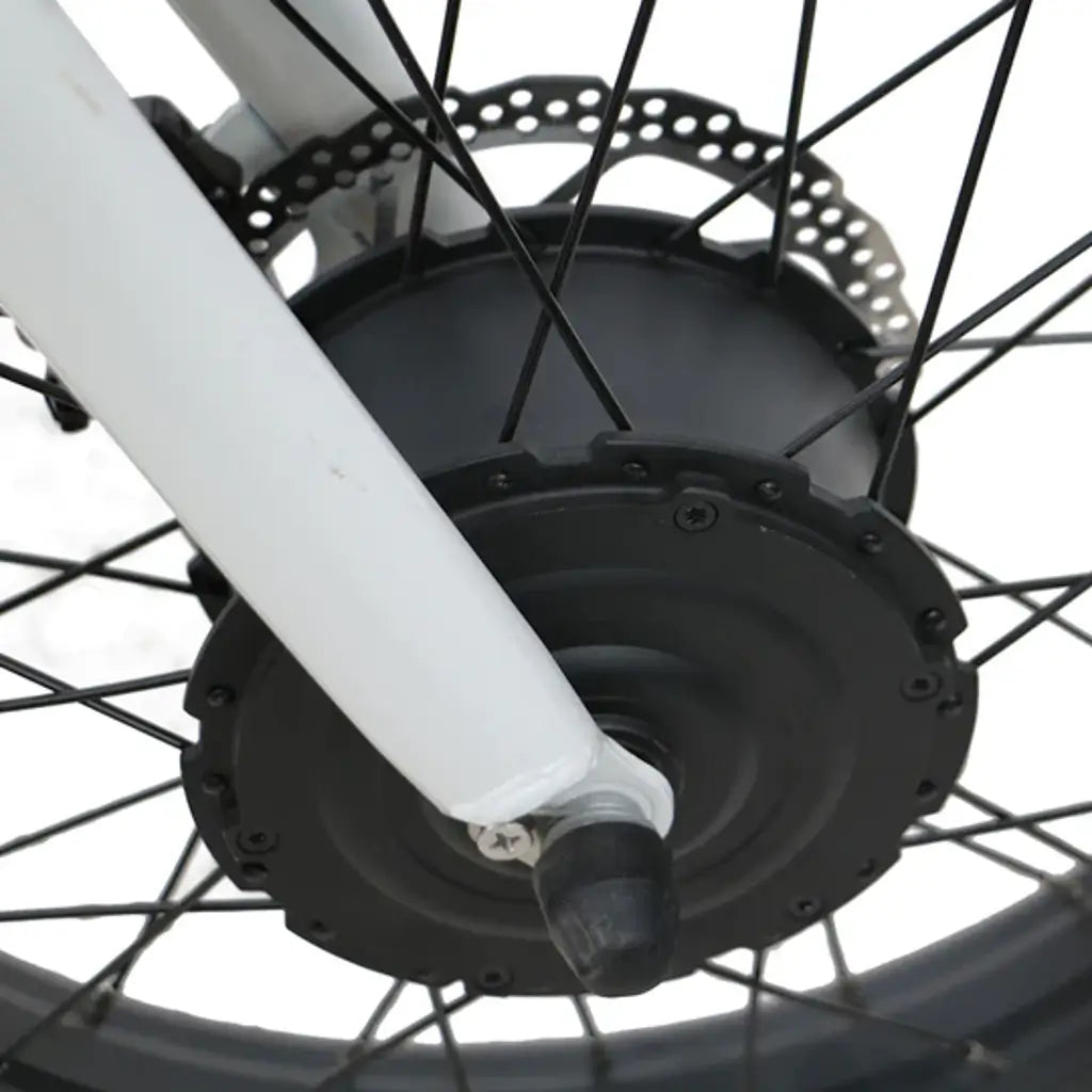 EUNORAU NEW-TRIKE 500W 48V Step Through Fat Tire Folding Electric Tricycle wheel