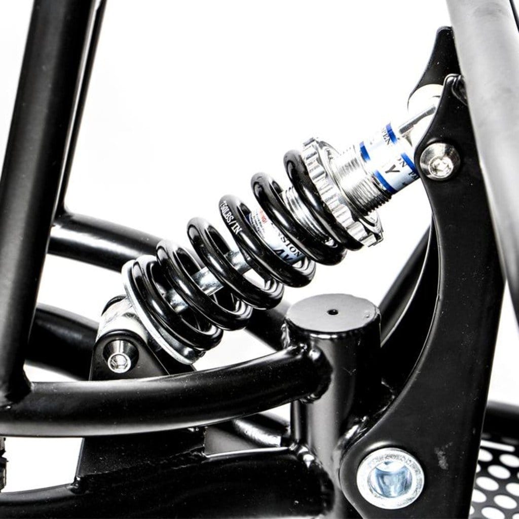 EUNORAU Single track/ Fat Tire/ Trailer for Cargo Electric Bike