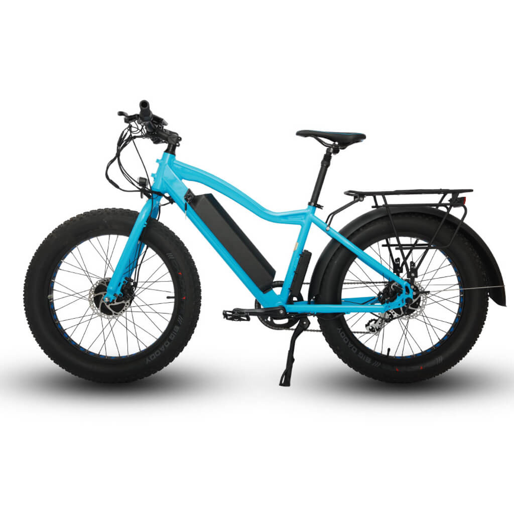 EUNORAU FAT-AWD All Wheel Drive 48V, 250W+350W Fat Tire Electric Bike