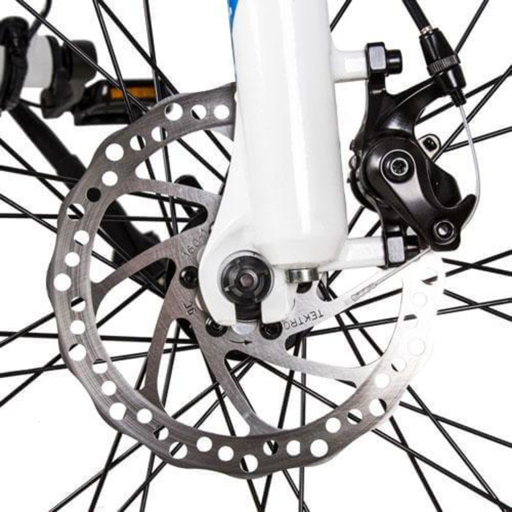 UL Certified - Ecotric Leopard 36V 500W Electric Mountain Bike