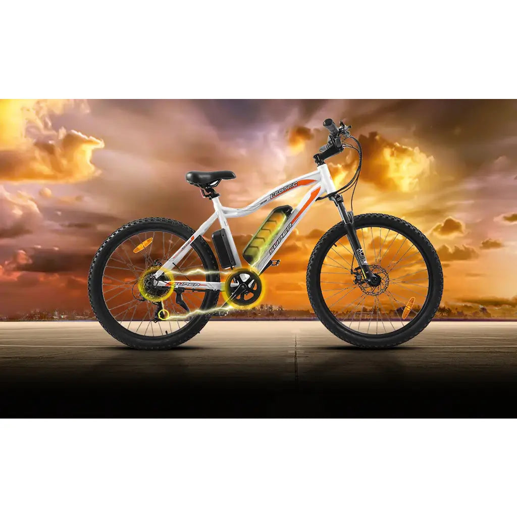 Ecotric leopard review 2025