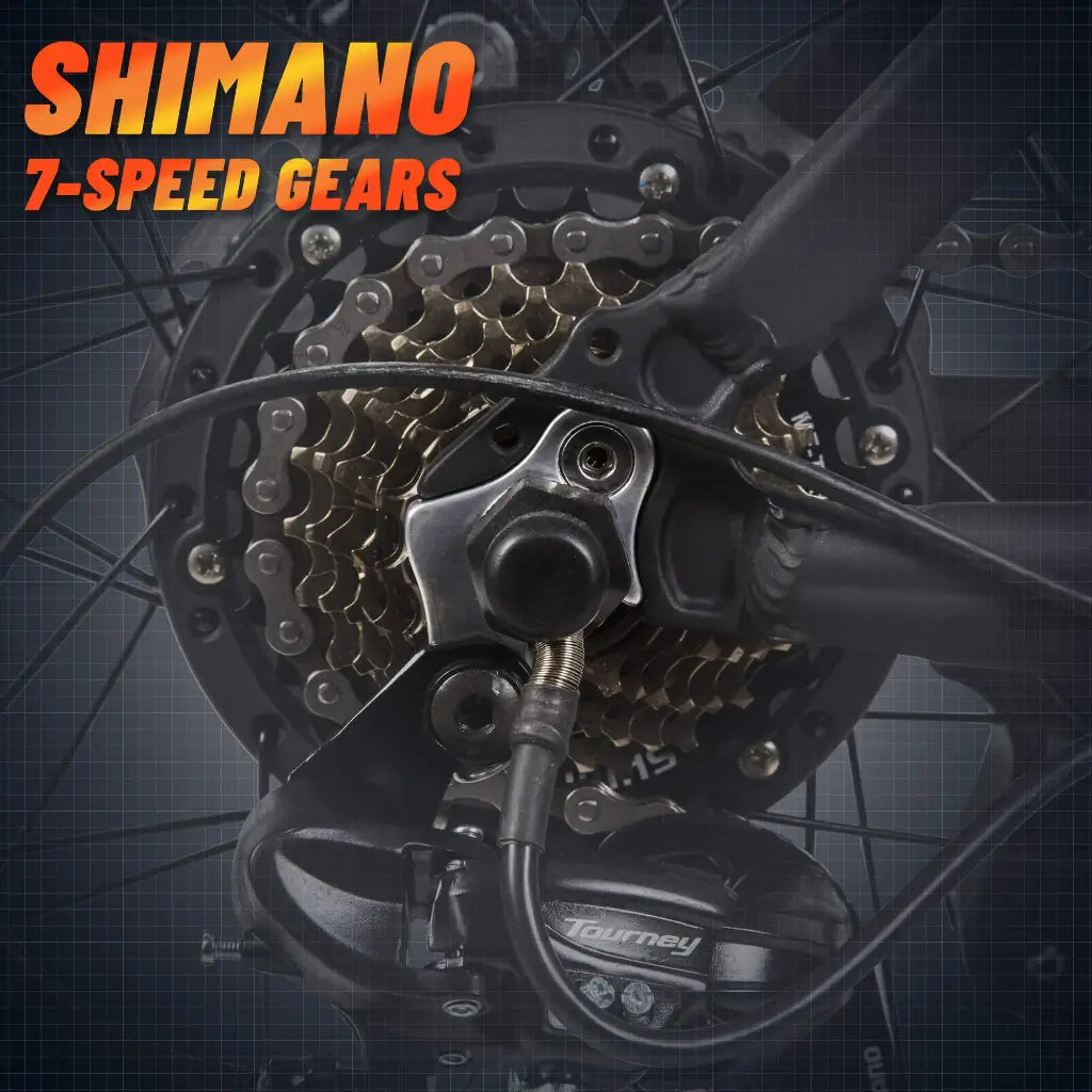 Ecotric Leopard 36V 500W Electric Mountain Bike Gear