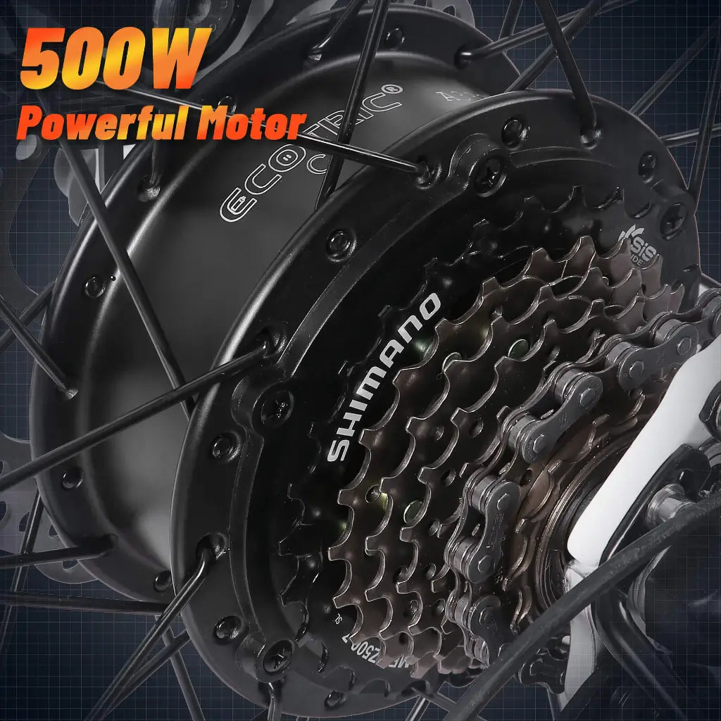 Ecotric Leopard 36V 500W Electric Mountain Bike motor