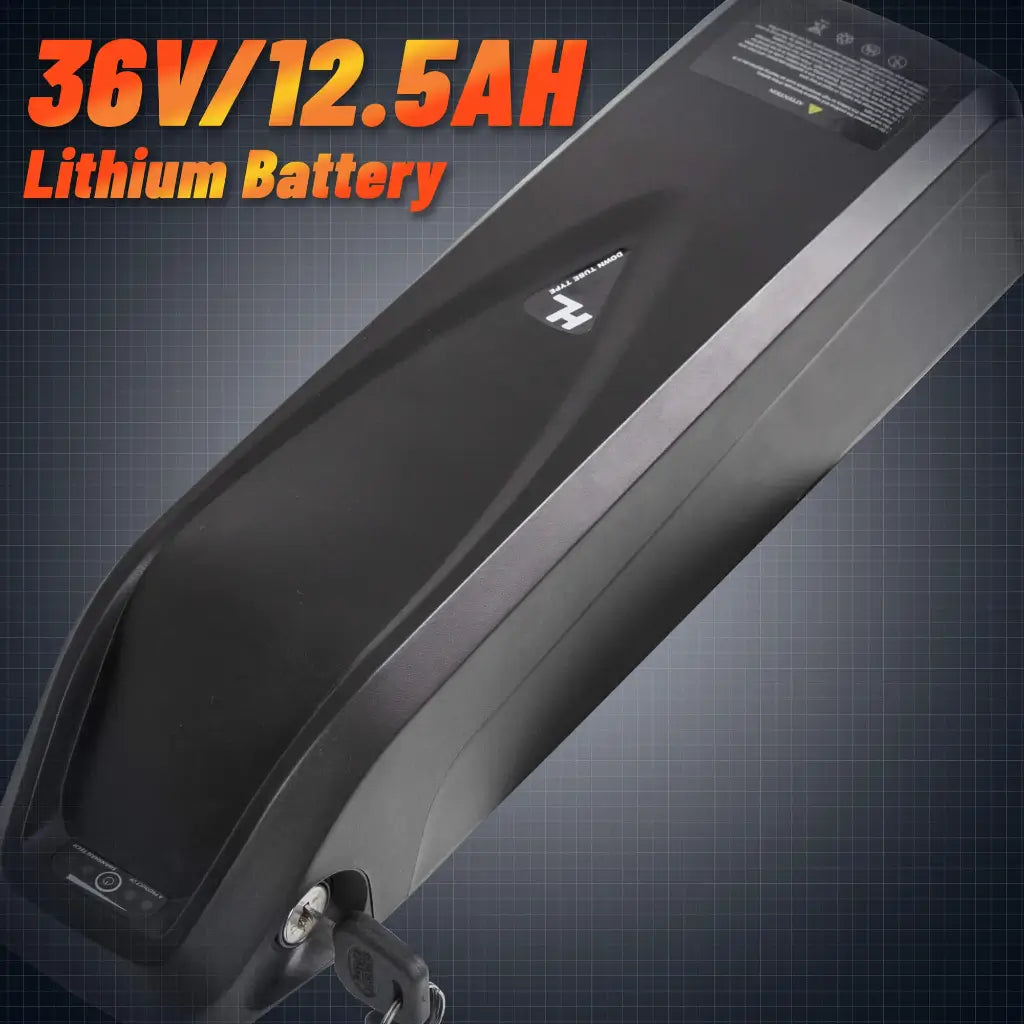 Ecotric Leopard 36V 500W Electric Mountain Bike battery