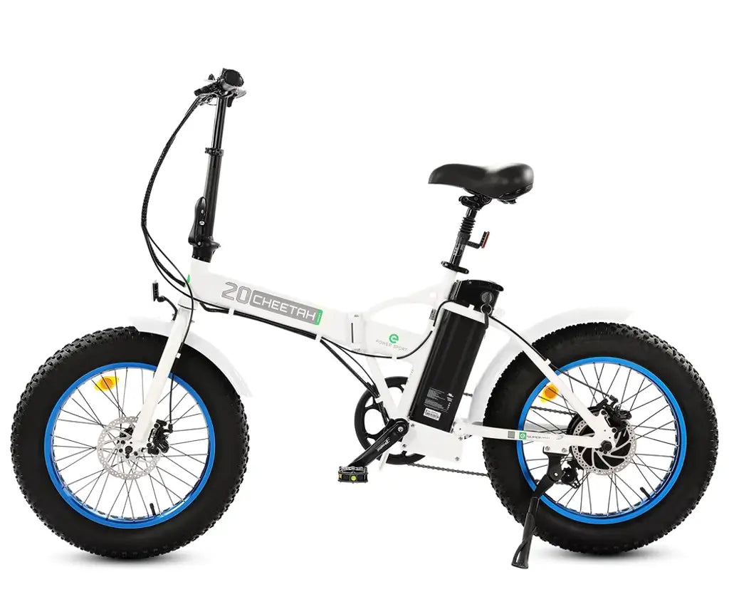 Ecotric 500w fat online tire electric bike