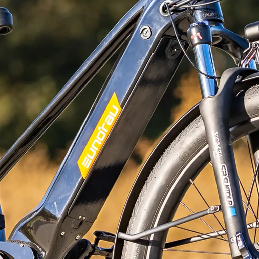 Eunorau META275 500W 48V Step Over Cruiser Electric Bike Frame