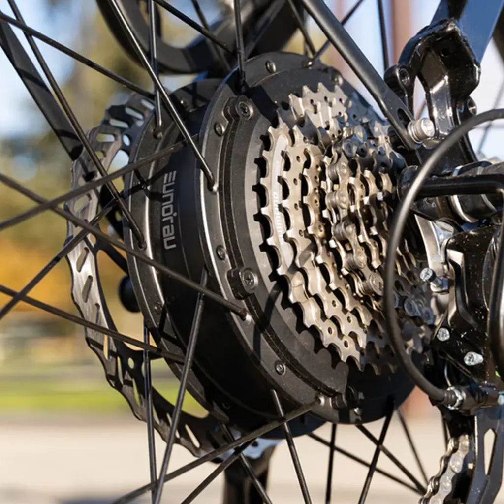 Eunorau META275 500W 48V Step Over Cruiser Electric Bike Hub Motor