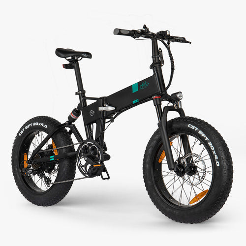 Fiido M21 500W 48V Torque Sensing Fat Tire Electric Bike
