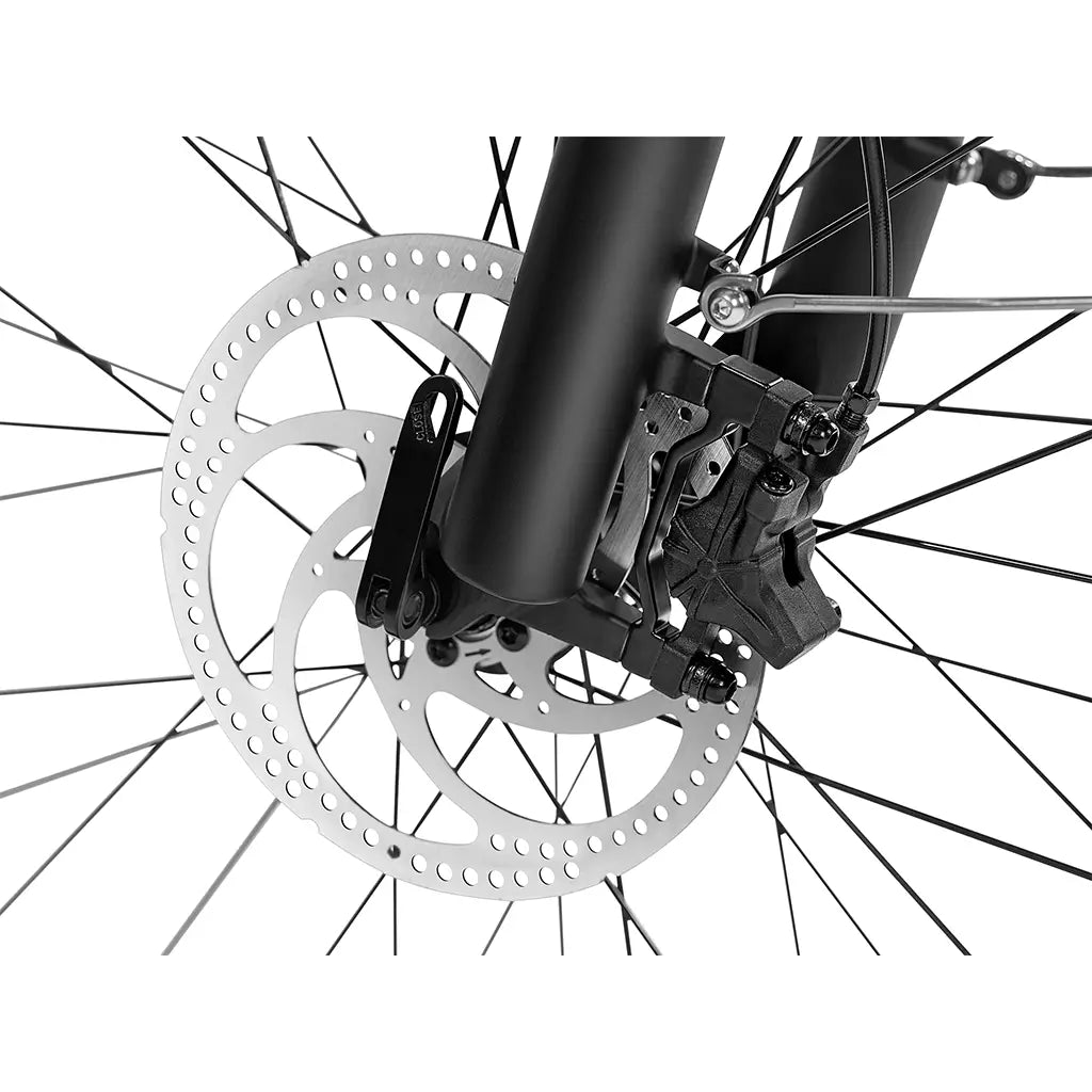 Magicycle Deer Softail 750W 52V Full Suspension SUV Electric Bike Front Disc Brakes