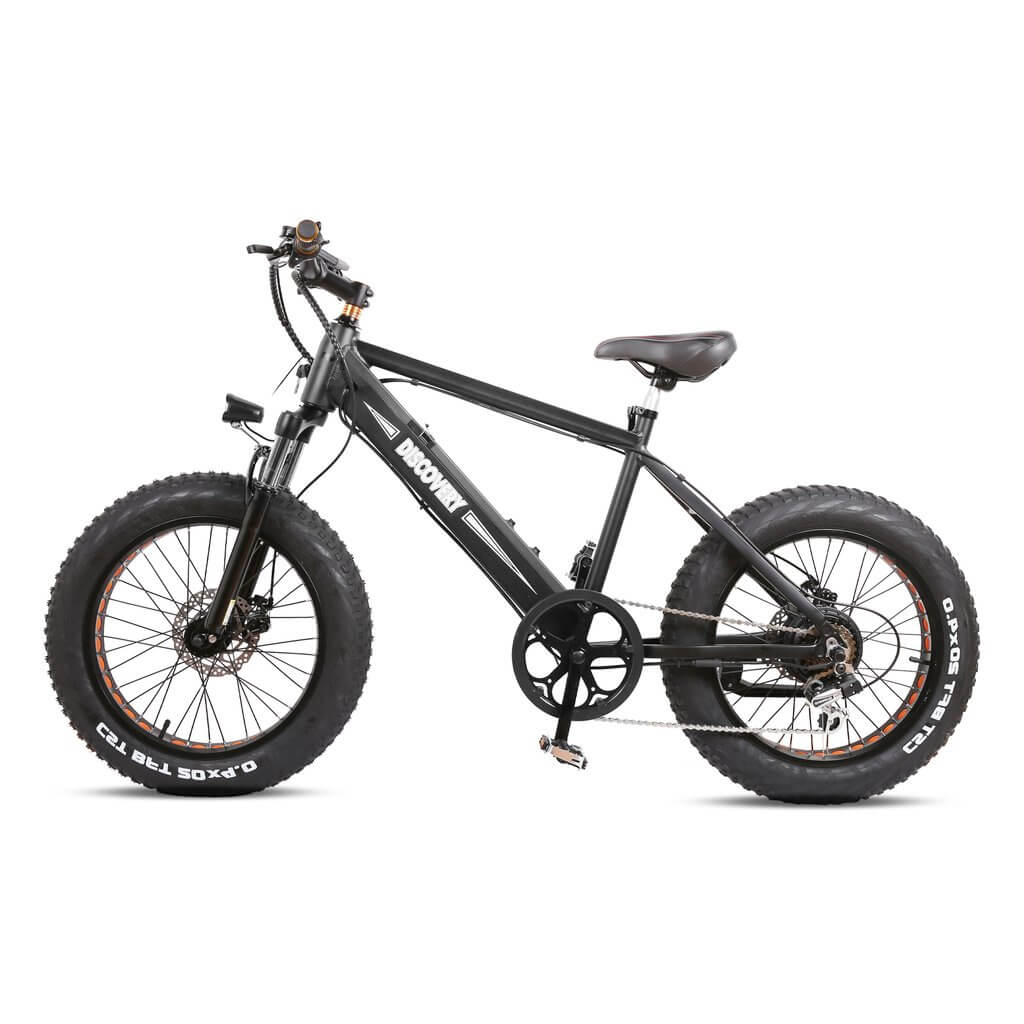 Nakto Discovery 20" Fat Tire Electric Bike 350W, 48V Black