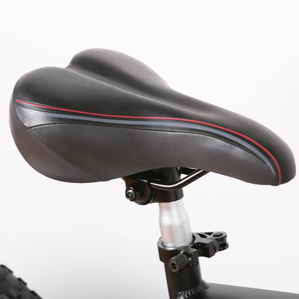 Nakto Discovery 20&quot; Fat Tire Electric Bike 350W, 48V Black