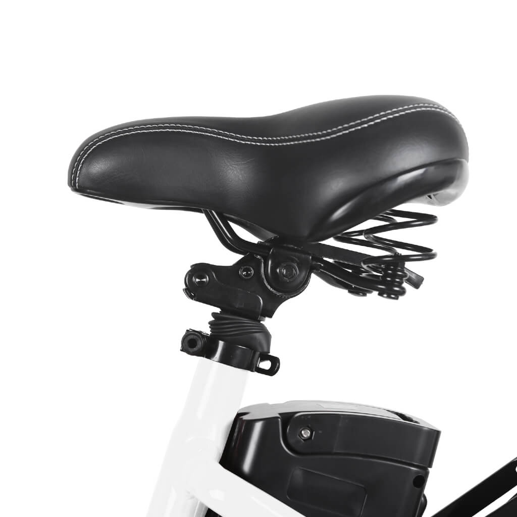 Nakto Stroller City Electric 26” Step Through Bike 350W 36V