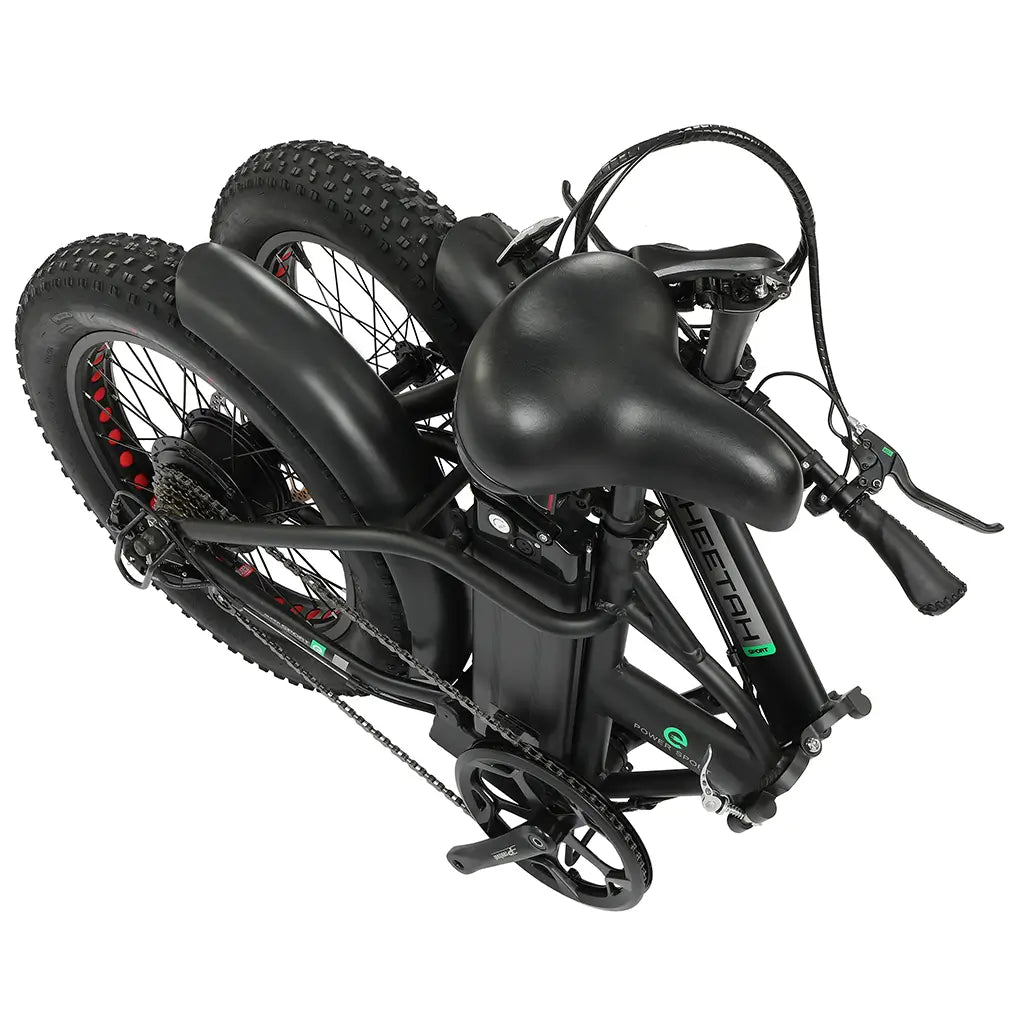 Electric bike ecotric hotsell