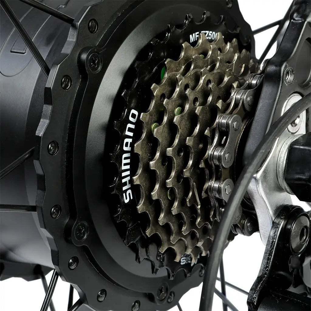 On Sale! UL Certified Ecotric Beach Snow 36V 500W Fat Tire Electric Bike Gear