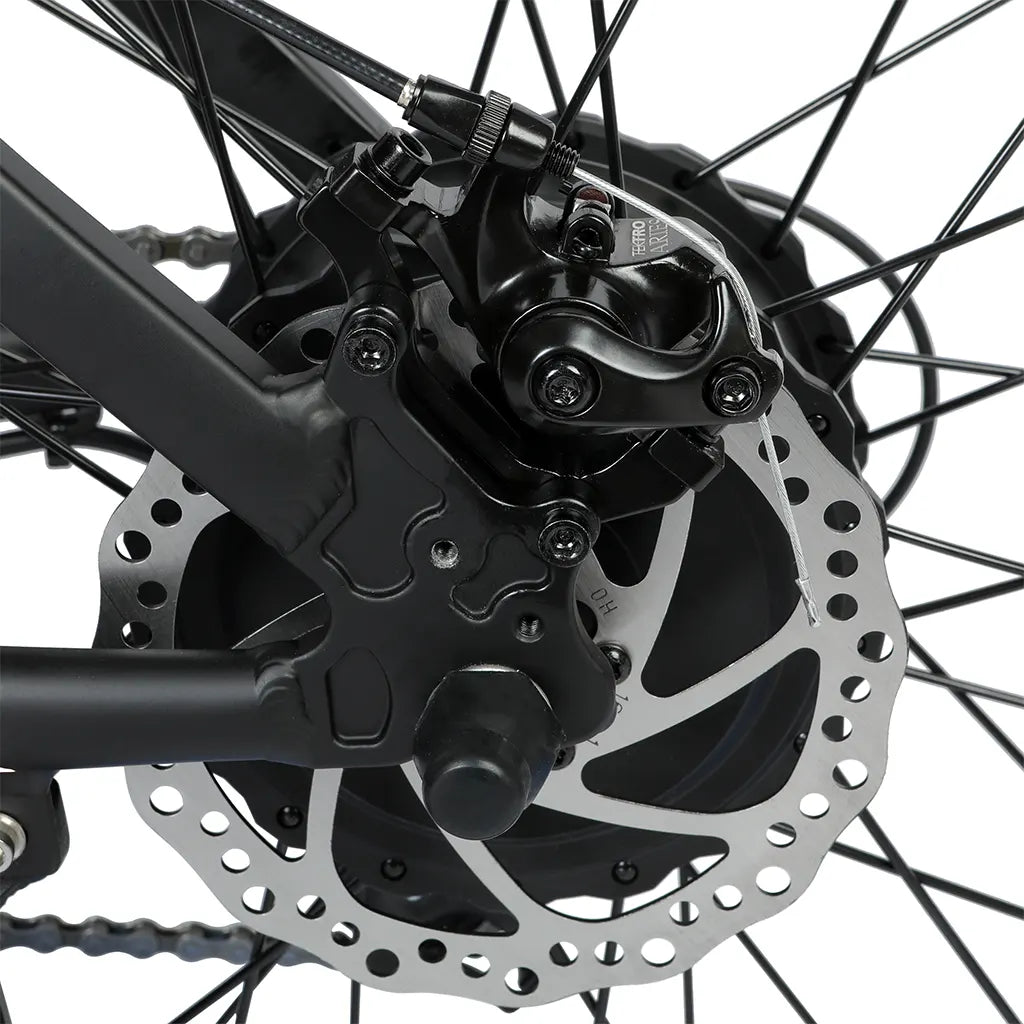 On Sale! UL Certified Ecotric Beach Snow 36V 500W Fat Tire Electric Bike Disc Brake