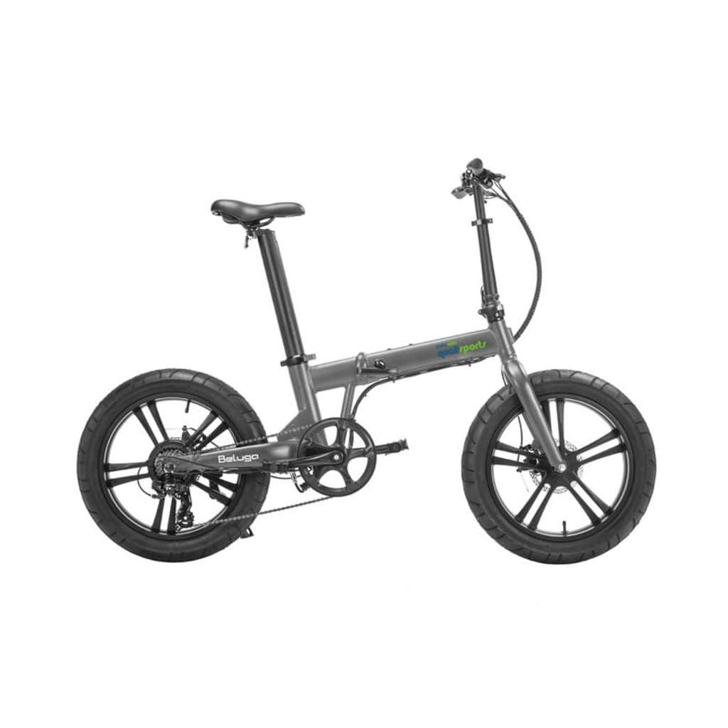 Qualisports ebike clearance