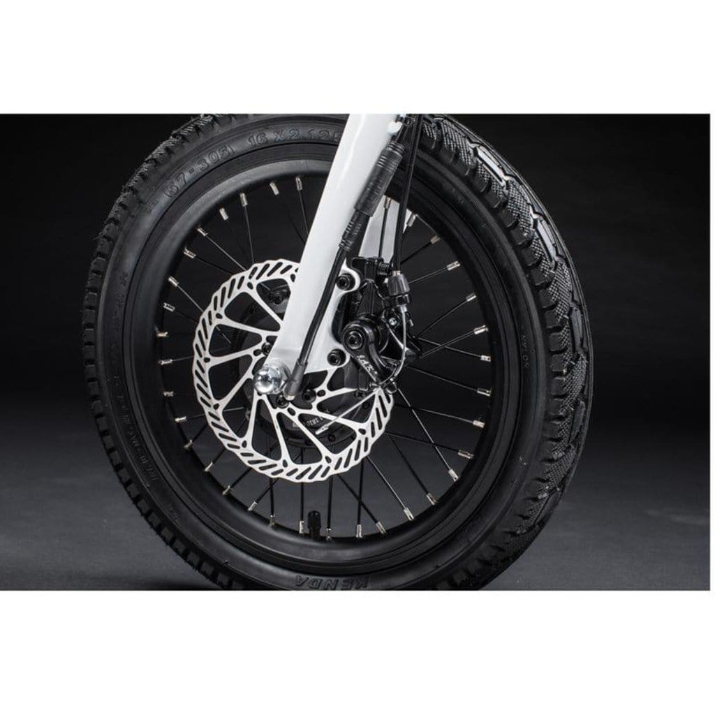 QUALISPORTS Nemo QSEB 01 250W/36V/ Folding Electric Bike