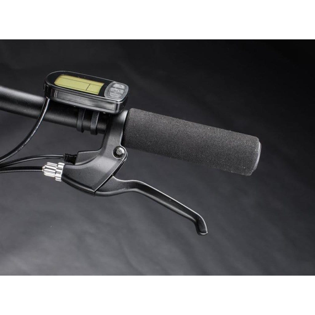 QUALISPORTS Nemo QSEB 01 250W/36V/ Folding Electric Bike