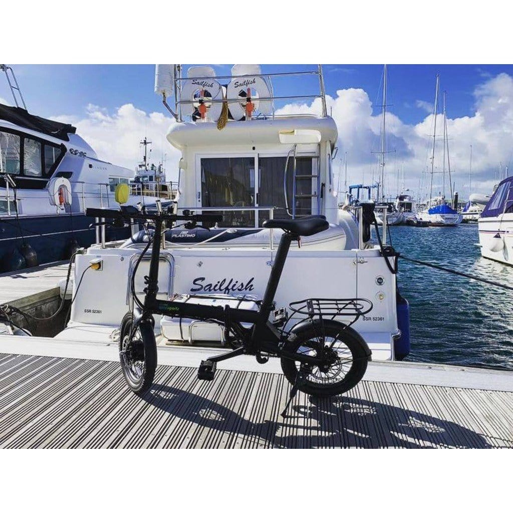 QUALISPORTS Nemo QSEB 01 250W/36V/ Folding Electric Bike