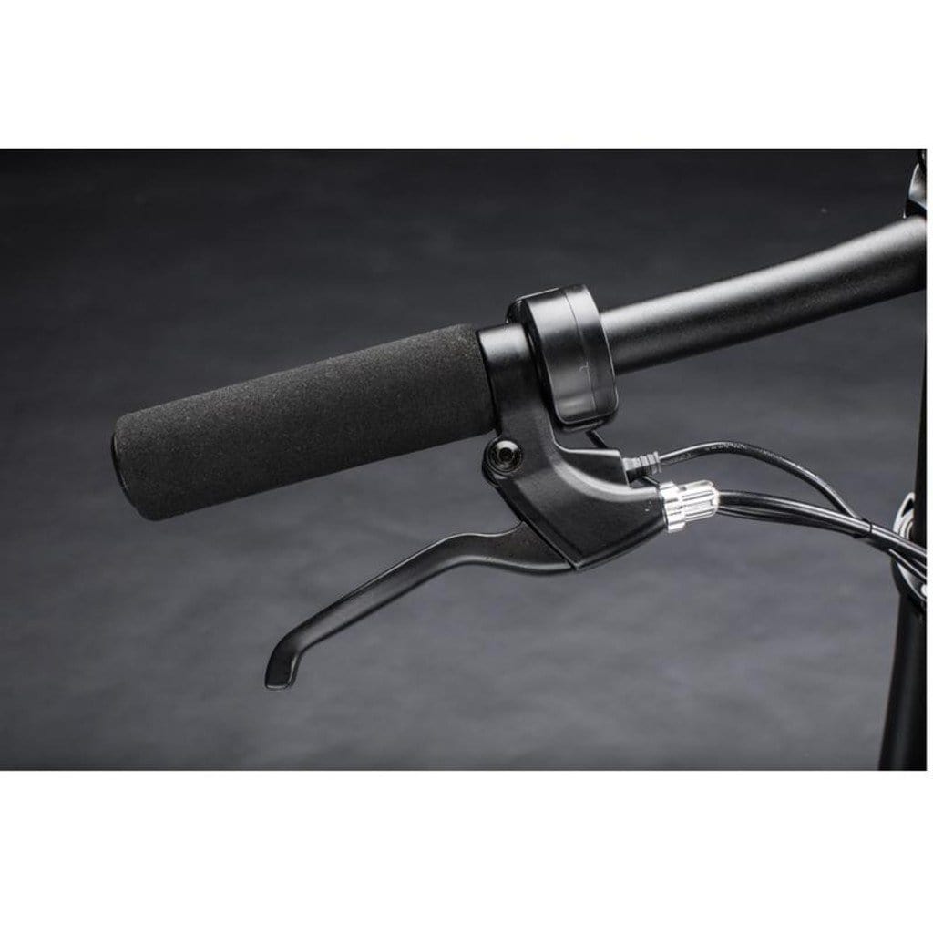 QUALISPORTS Nemo QSEB 01 250W/36V/ Folding Electric Bike