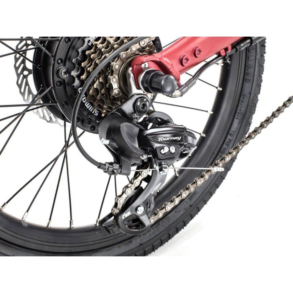 QUALISPORTS Volador QSEB02 350W/36V/ Folding Electric Bike