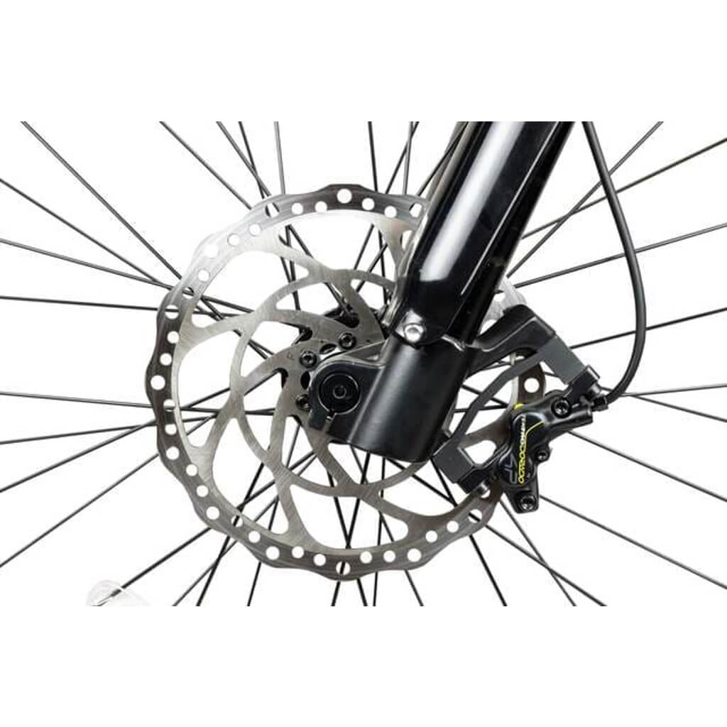 RAMBO The Prowler 1000 XPE 1000W 48V FAT Tire Mountain Bike-Disk Brakes