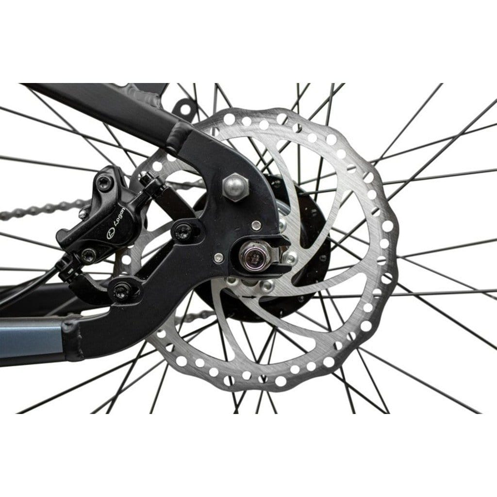 RAMBO The Pursuit 750W/ 48V/ Outdoor/ Fat Tire/ Cruiser Electric Bike