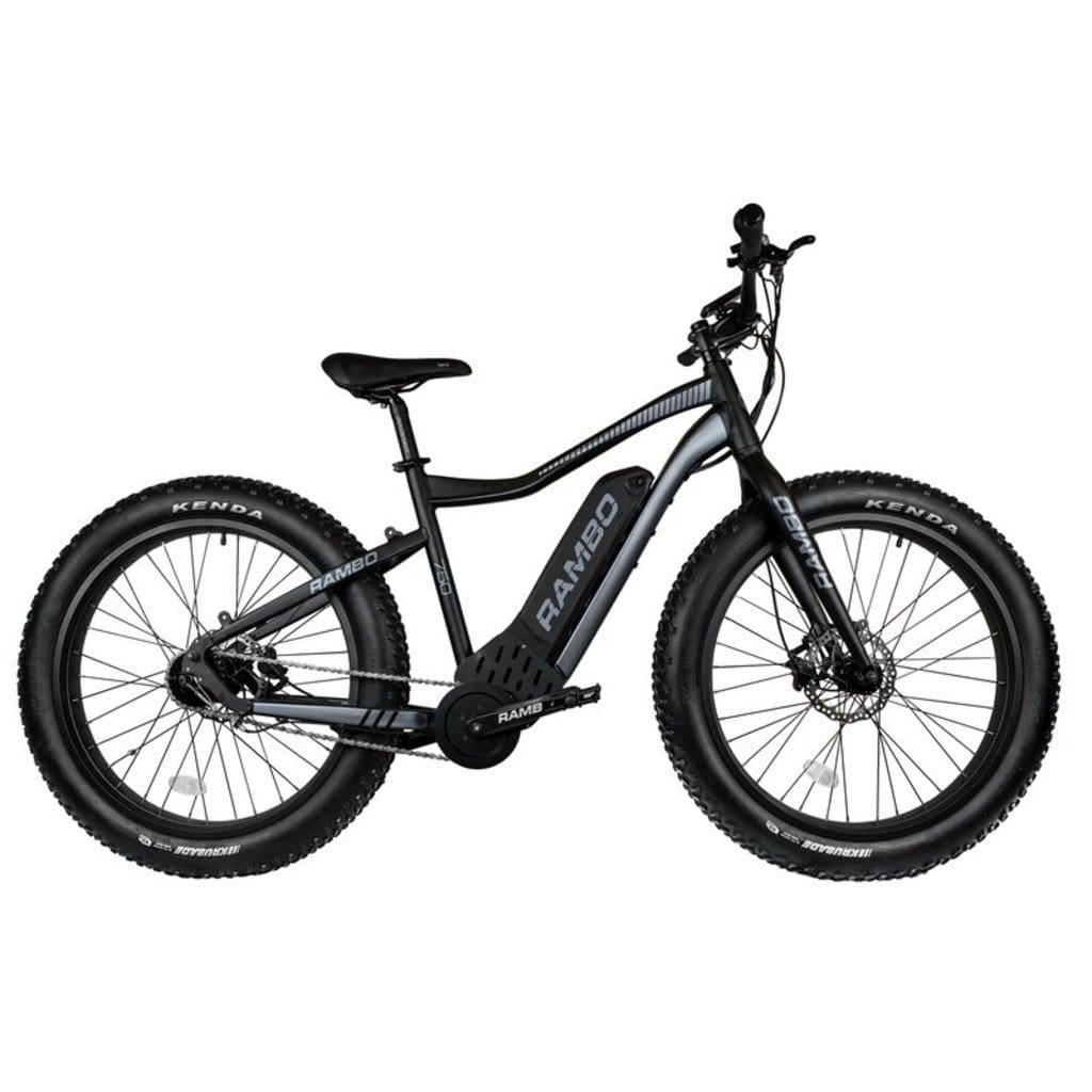RAMBO The Pursuit 750W/ 48V/ Outdoor/ Fat Tire/ Cruiser Electric Bike