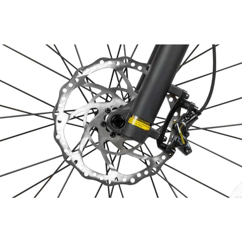 RAMBO The Rampage 1000W/ 48V/ Full Suspension/ Cruiser Electric Bike