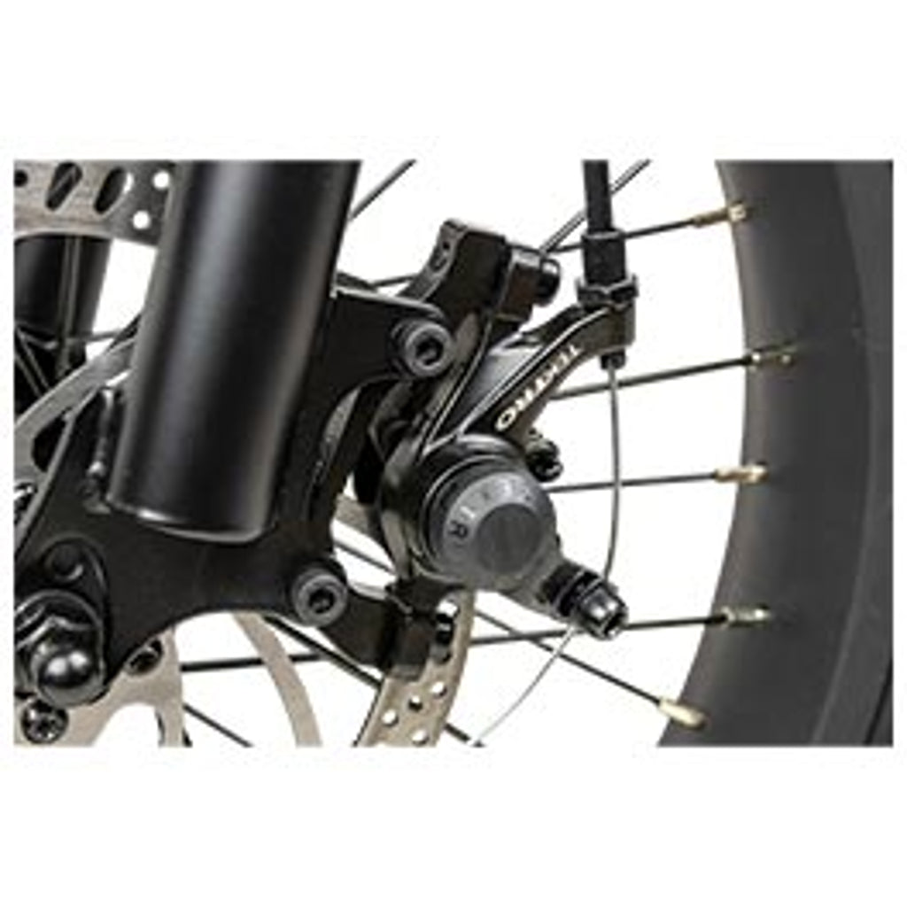 RAMBO Rooster 750w Step Thru Electric Bike