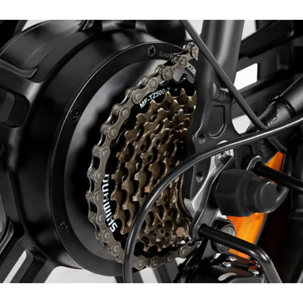 Rattan LF-750 Pro 750W 48V Fat Tire Folding Electric Bike Gear