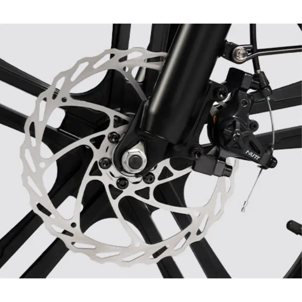 Rattan LF-750 Pro 750W 48V Fat Tire Folding Electric Bike Front Disk Brake