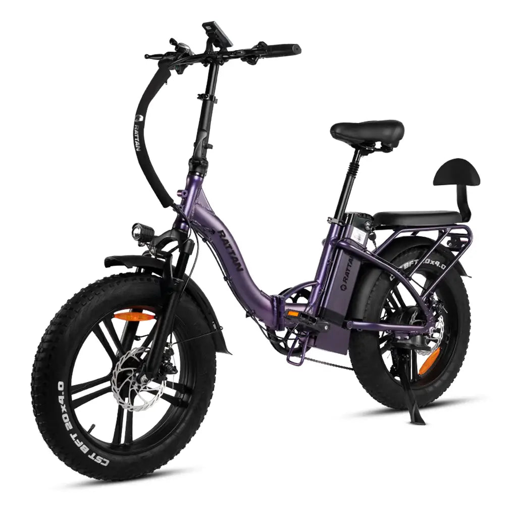 Rattan 750W Bicicleta eléctrica para adultos 48V 13AH batería extraíble  plegable bicicletas eléctricas LM/LF Pro Ebike 20 x 4.0 Fat Tire  Bicicletas