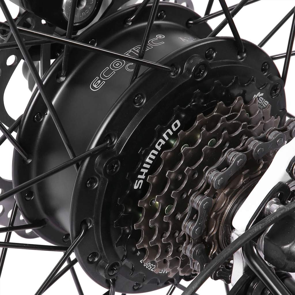 UL Certified - Ecotric Leopard 36V 500W Electric Mountain Bike