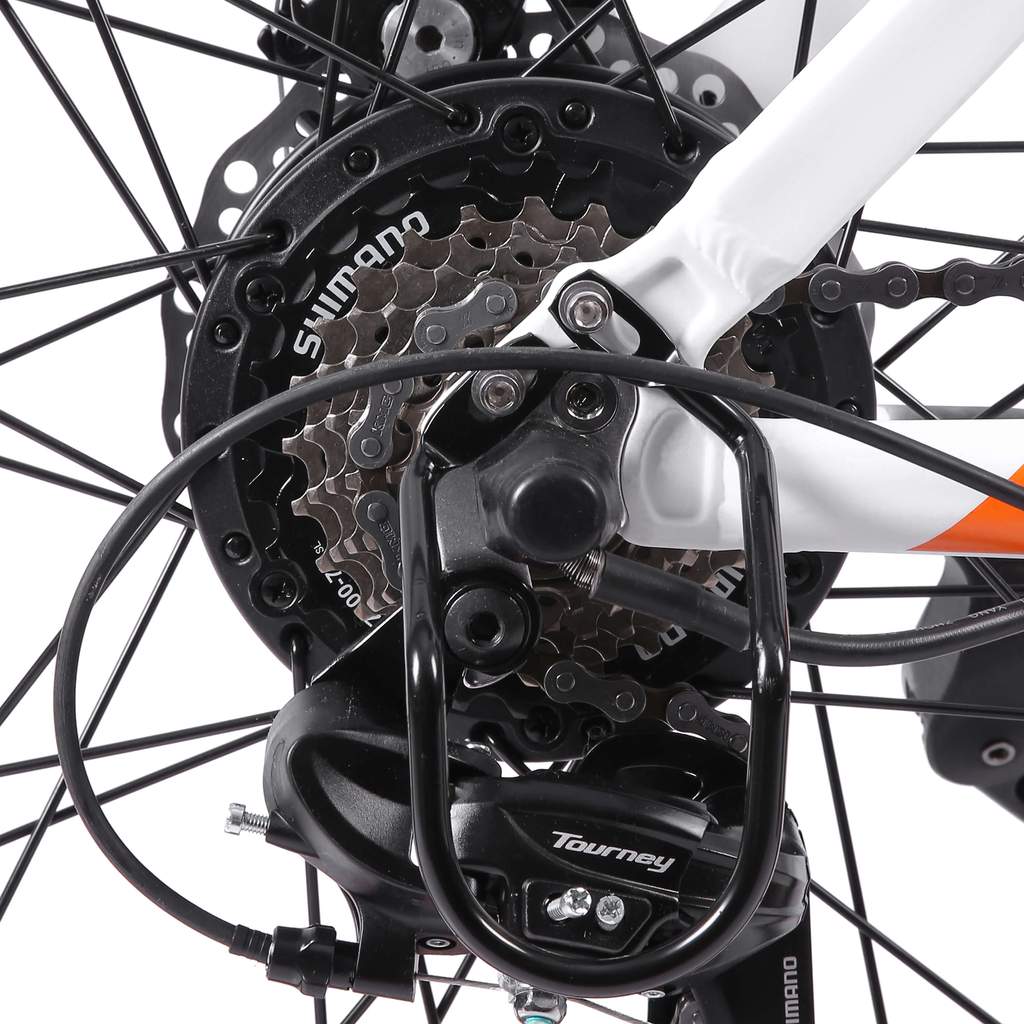 UL Certified - Ecotric Leopard 36V 500W Electric Mountain Bike