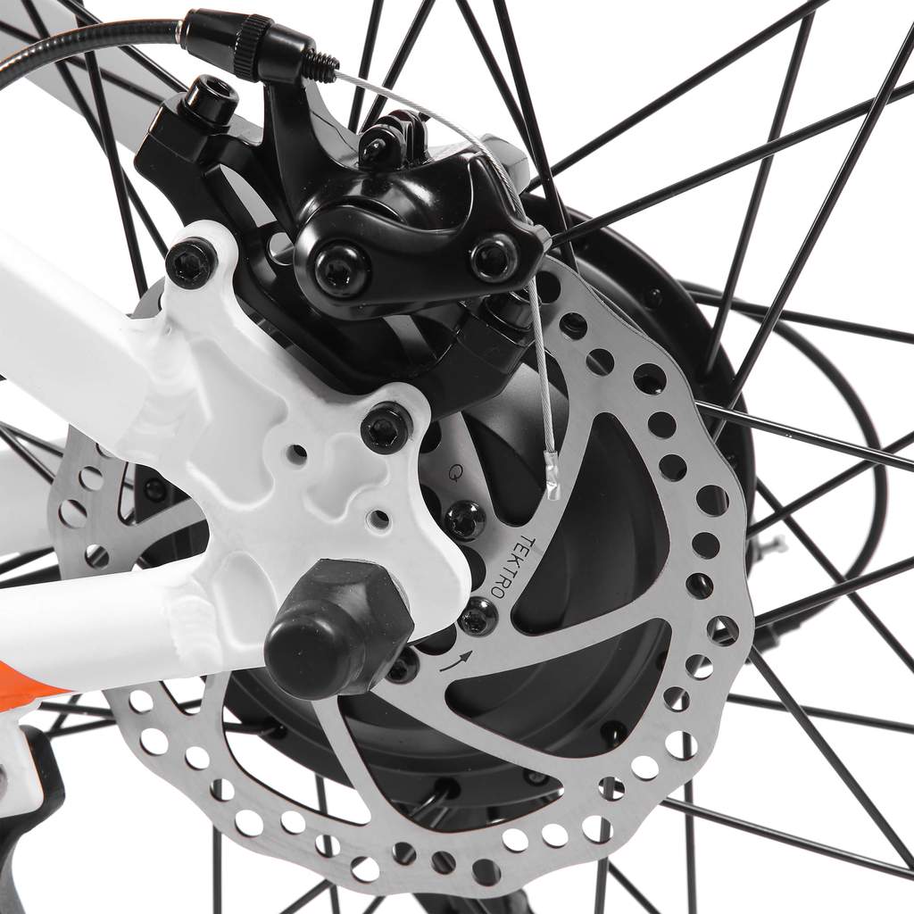 UL Certified - Ecotric Leopard 36V 500W Electric Mountain Bike