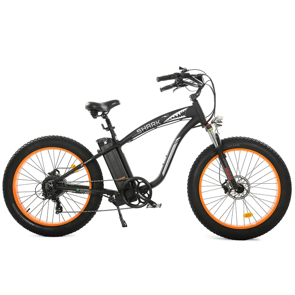 Ecotric fat tire beach 2024 and snow electric bike