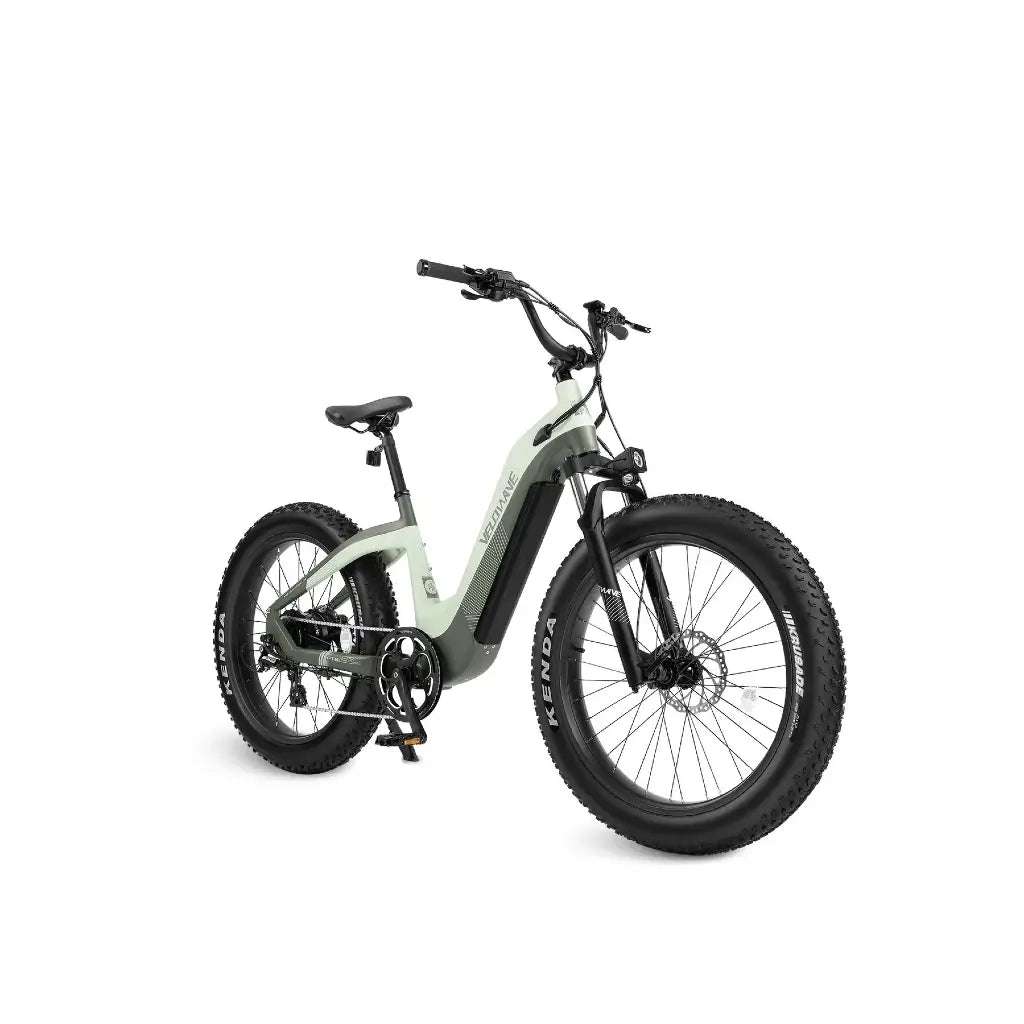 Velowave Grace Step Thru 750W 48V Fat Tire Commuter Electric Bike left 