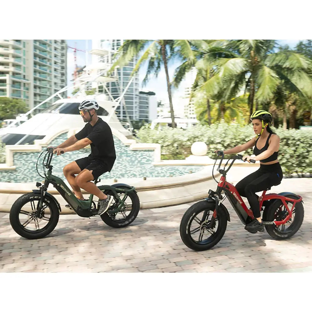 American Electric Steller Step-Thru 750W, 48V Fat Tire Electric Bike - Zoom  Electric Bikes