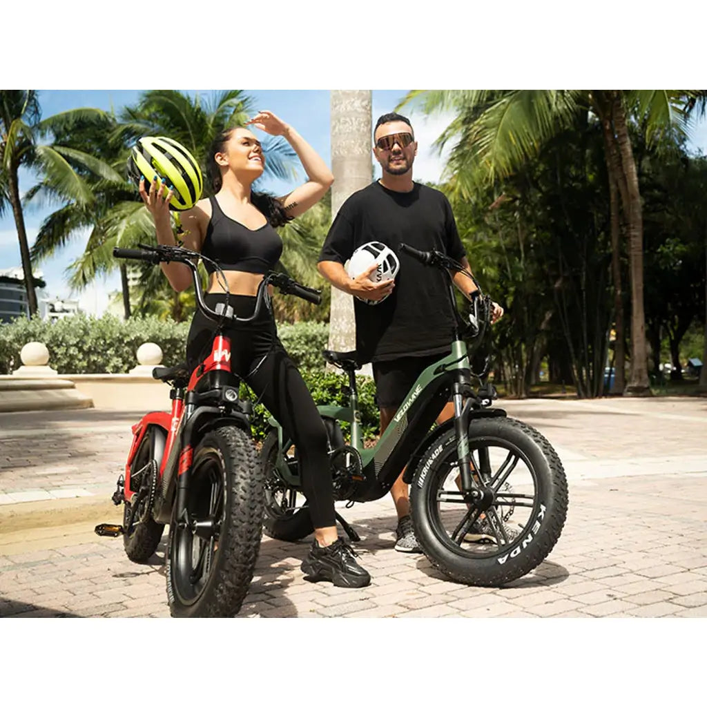 Velowave Pony Step Thru 750W 48V Fat Tire Commuter Electric Bike city