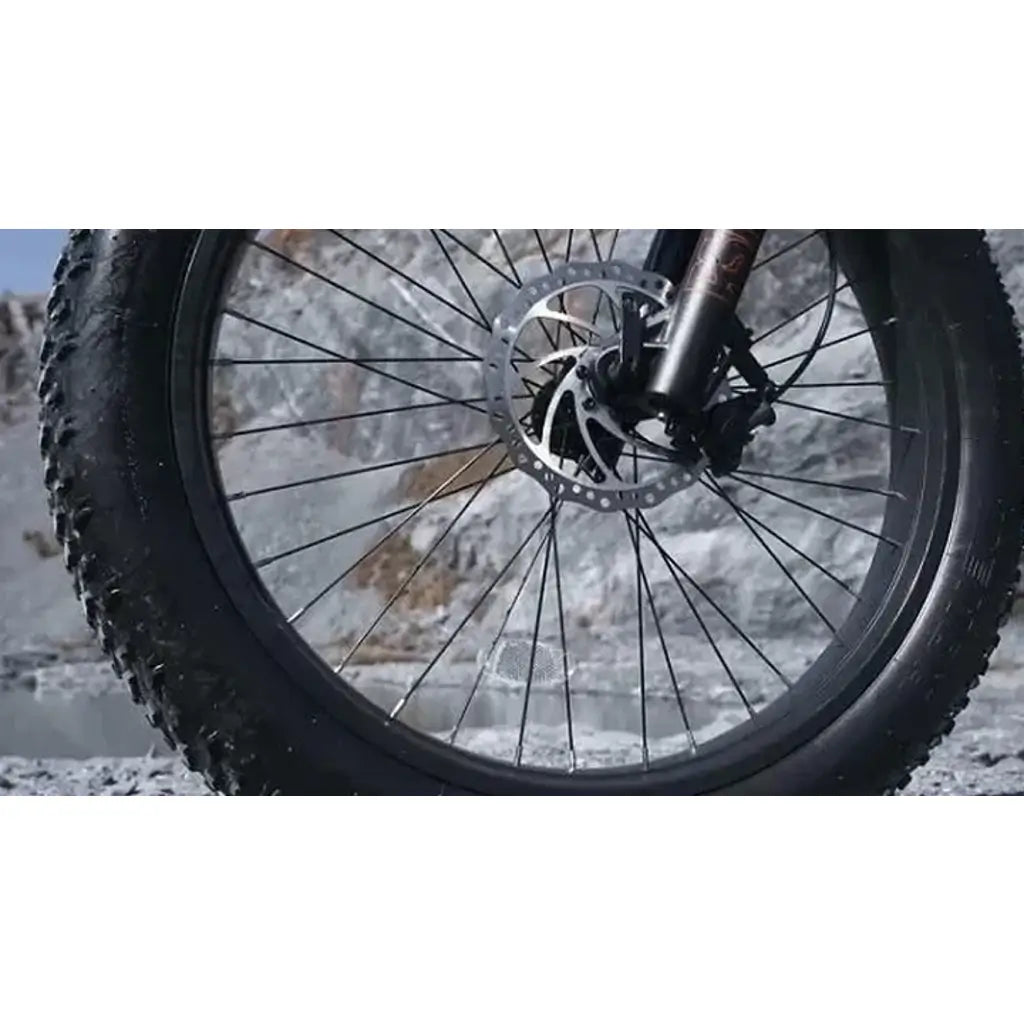 Velowave Ranger 750W 48V Fat Tire Electric Bike rim