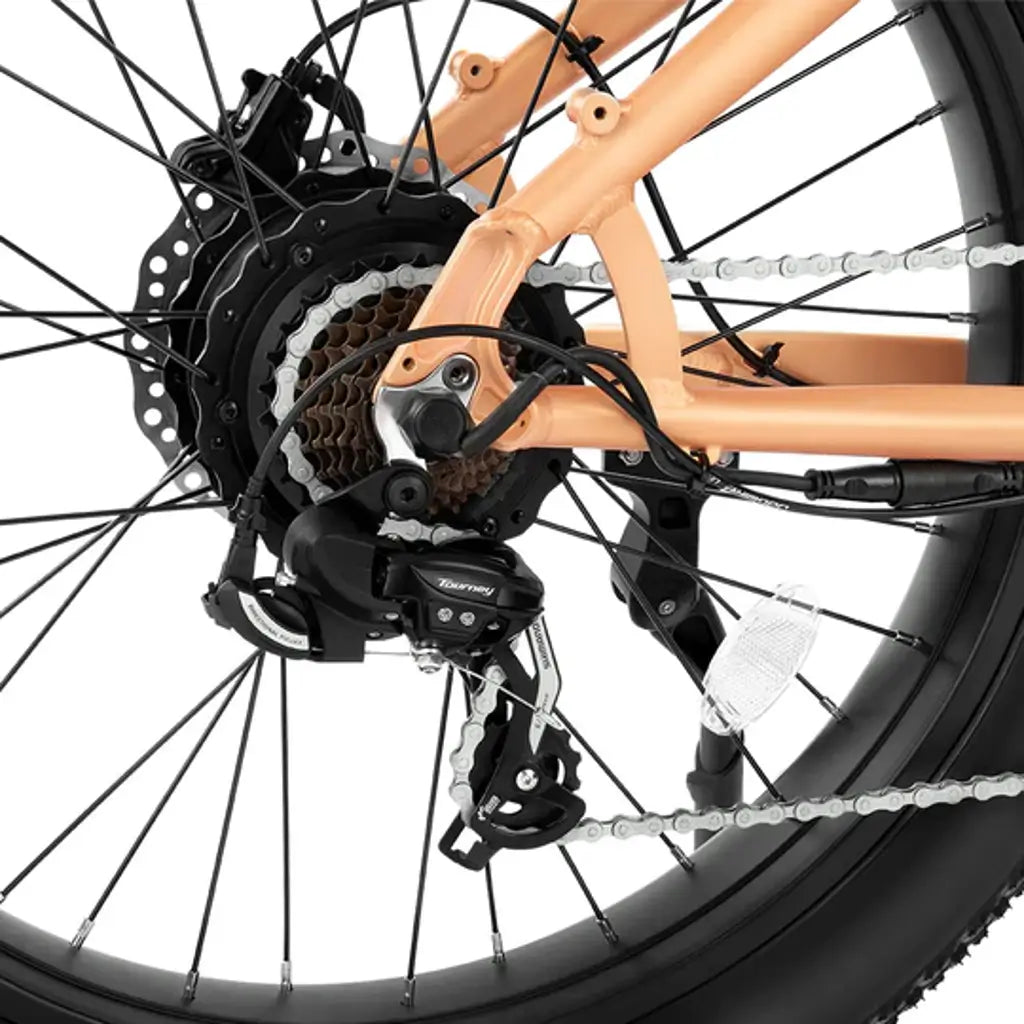 Velowave Rover Step Thru 750W 48V Fat Tire Commuter Electric Bike gear