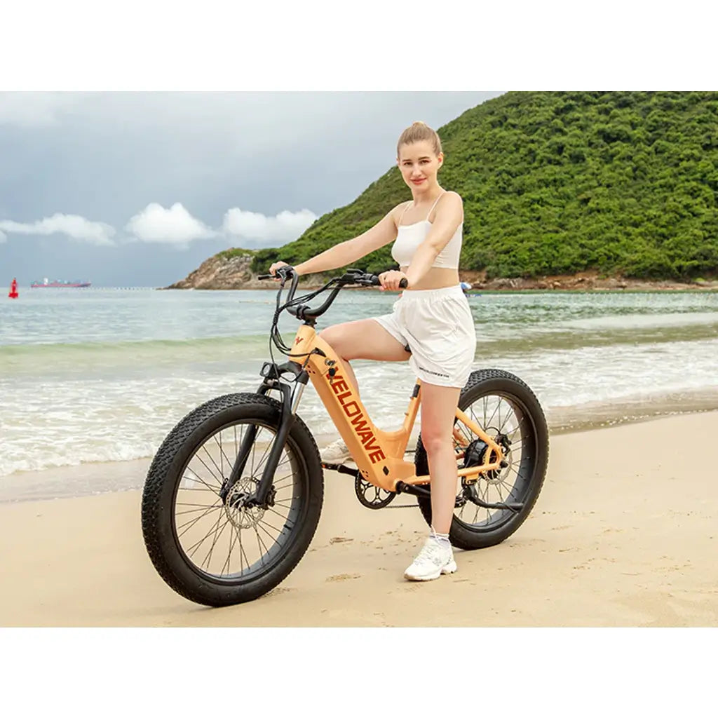 Commuter e top bike 2019