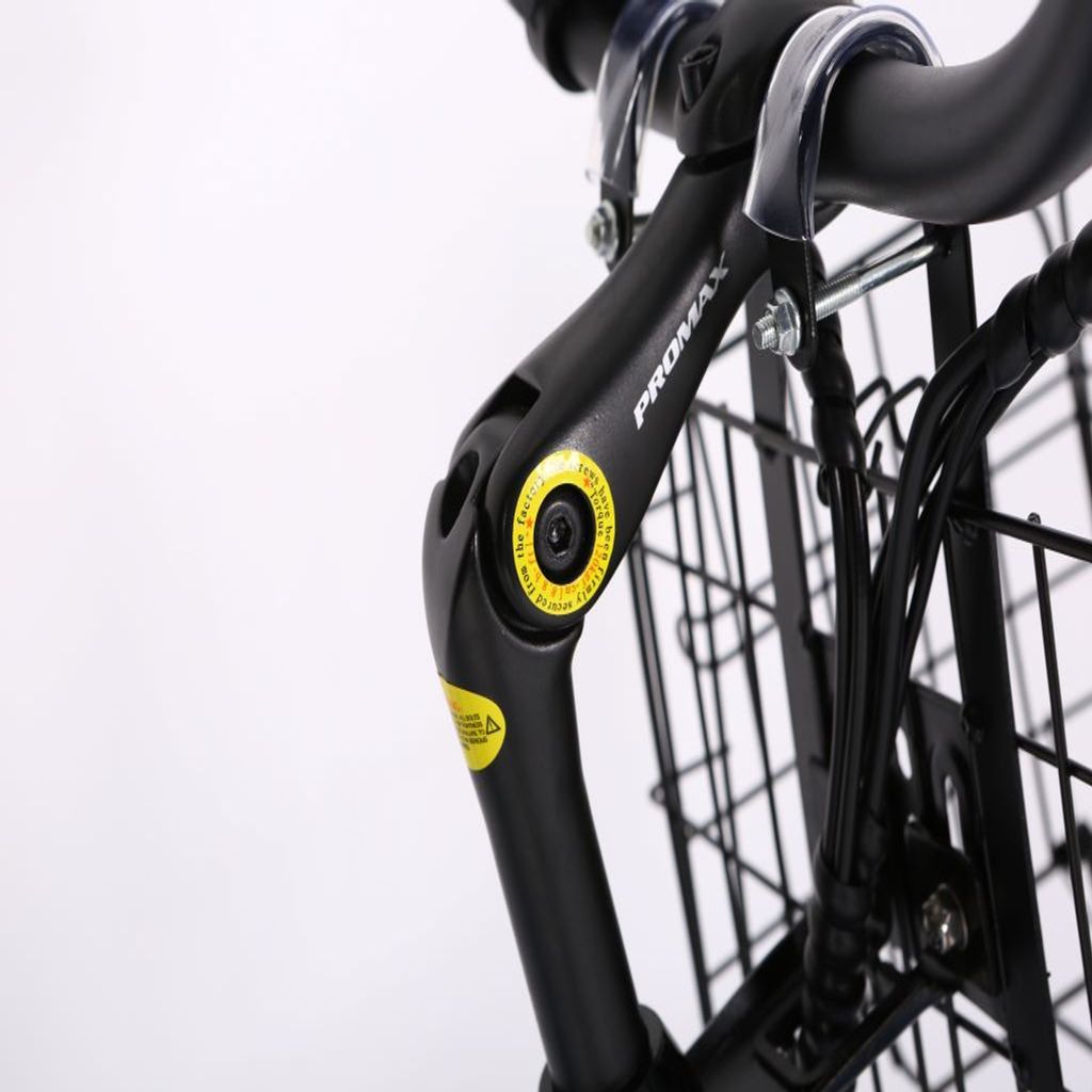 X Treme Malibu Elite 24V Step Through Beach Cruiser Bike Stem