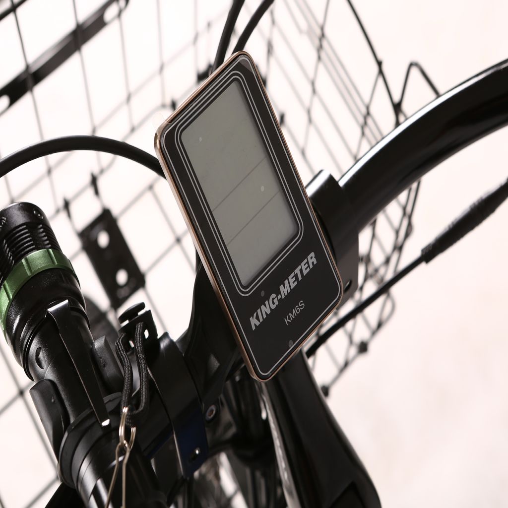 X-treme Laguna 48V Handle Bar