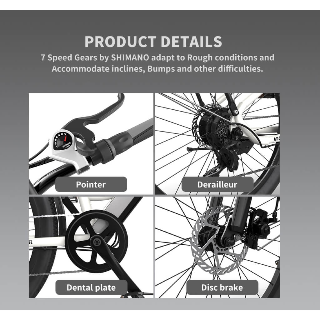 Aostirmotor  G350 350W 36V Comfortable Commuter Bicycle