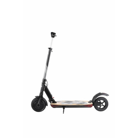 Green Bike Electric Motion 250W 36V X2 Folding Electric Scooter