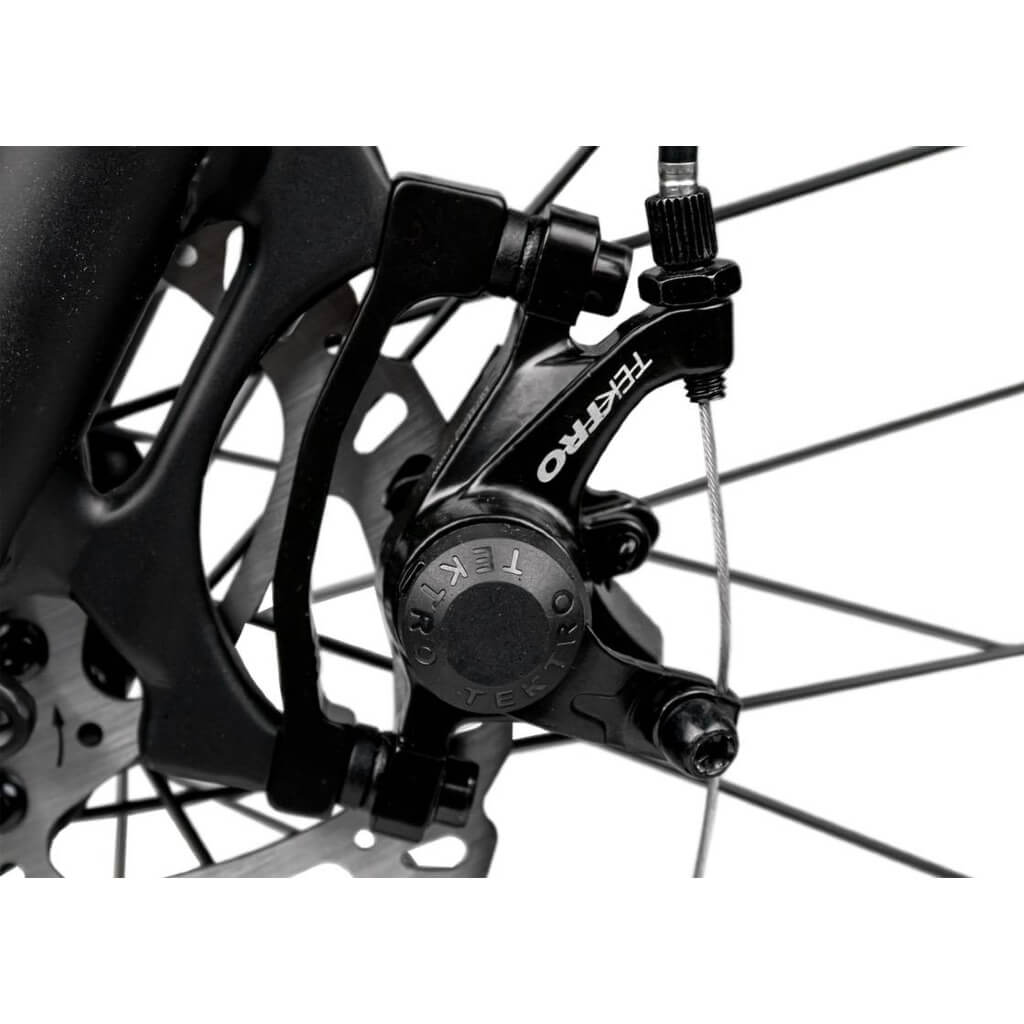 RAMBO Cruiser 500W 48V Mountain Electric Bike