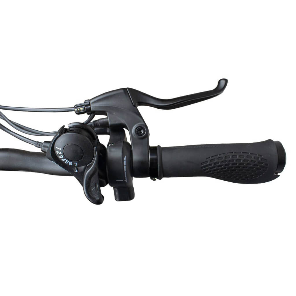 RAMBO Cruiser 500W 48V Mountain Electric Bike-handlebar